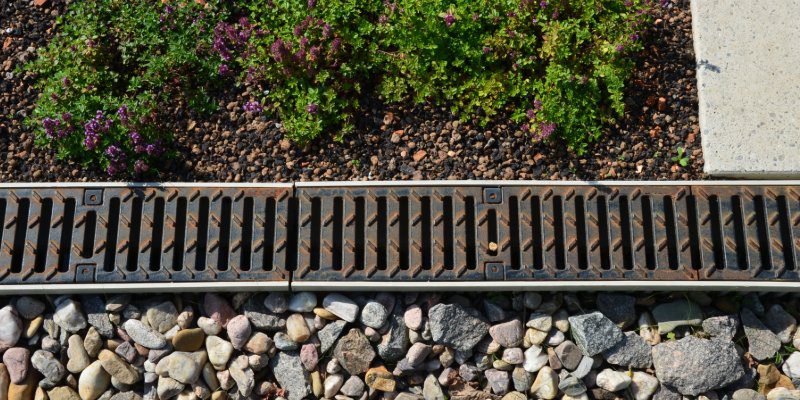 What Poor Drainage Can Do to Your Yard Over Time